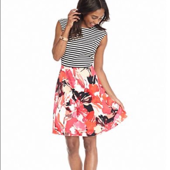 Sandra Darren Dresses & Skirts - Sandra Darren floral stripe A-line dress